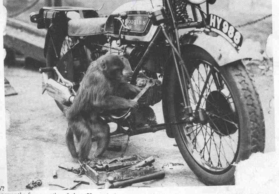 Douglas-Monkey-Mechanic