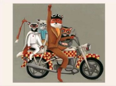 IMG_20131221_122952.jpg image