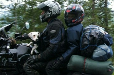 wp-1427504115567 image