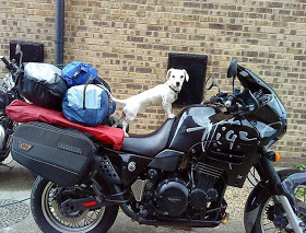 wp-1427504235644 image